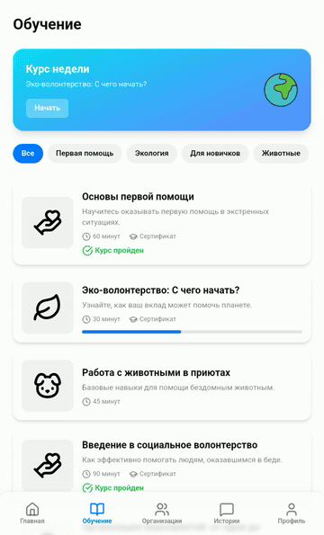 Мини-курс